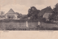 Peimann-2018