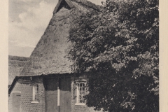 Peimann-2157