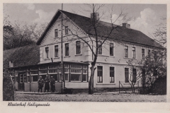Peimann-2036