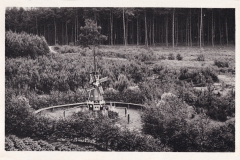 Peimann-2151