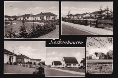 Peimann-2162